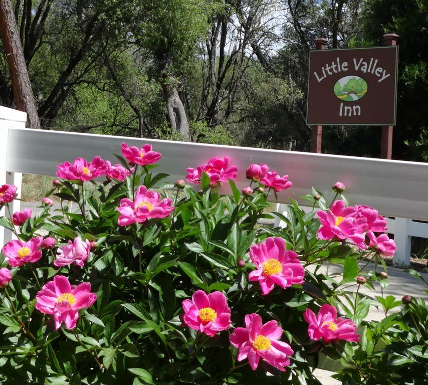 Little Valley Inn Mariposa Dış mekan fotoğraf