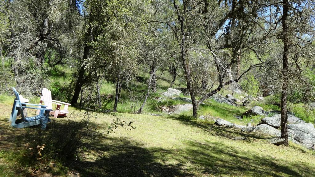 Little Valley Inn Mariposa Dış mekan fotoğraf