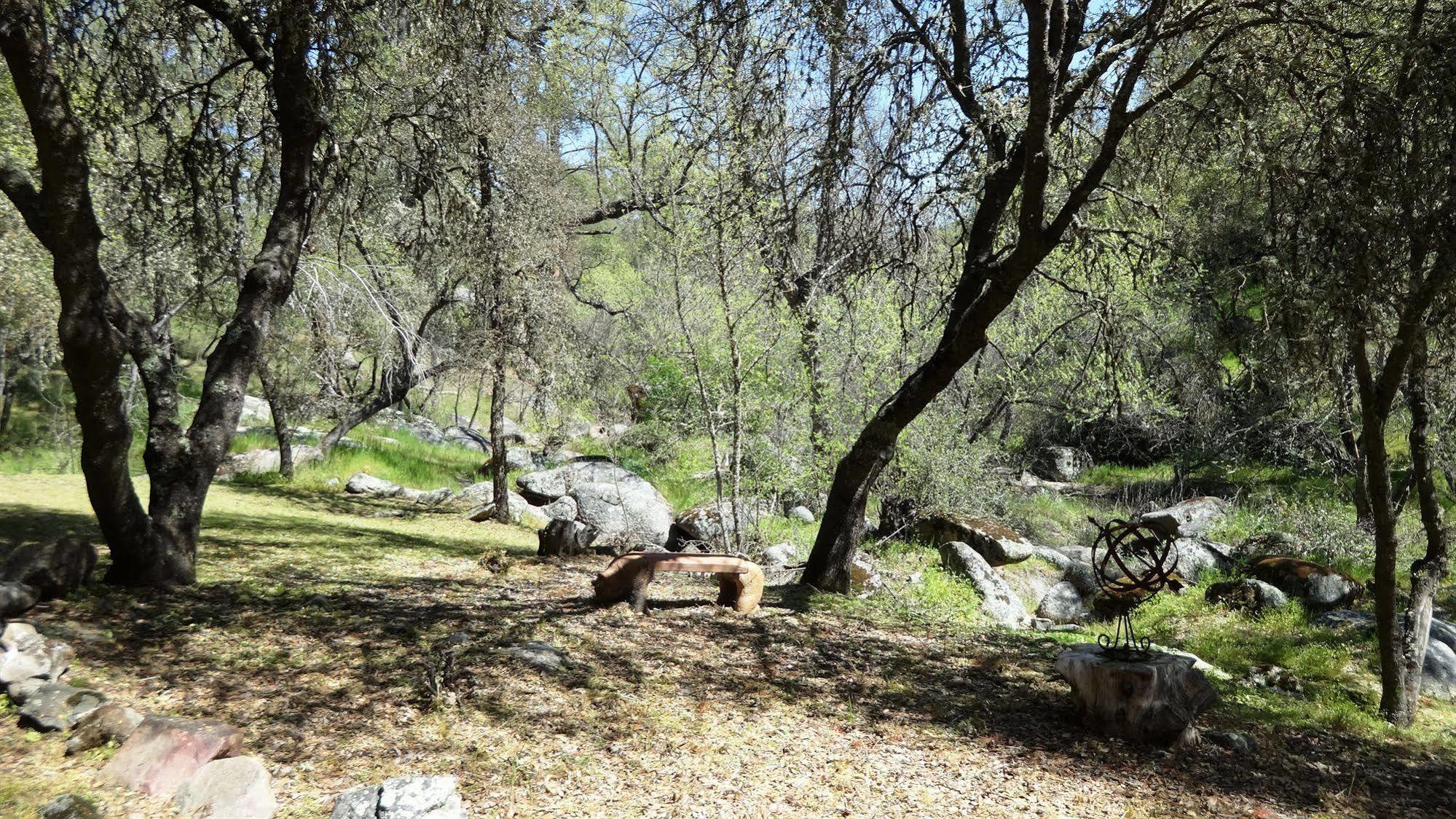 Little Valley Inn Mariposa Dış mekan fotoğraf